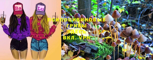 винт Арсеньев