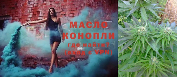 тгк Снежинск