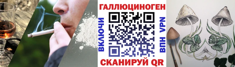 Галлюциногенные грибы Psilocybine cubensis  ссылка на мегу вход  Каргополь 
